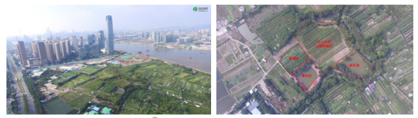 1552291548305039.png 圖片4.png