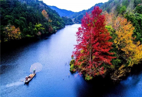 1575605178446891.png image.png