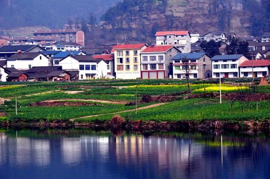 1575863260419740.jpg 1.jpg