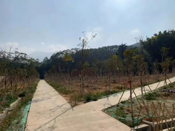 1578034992141823.png image.png